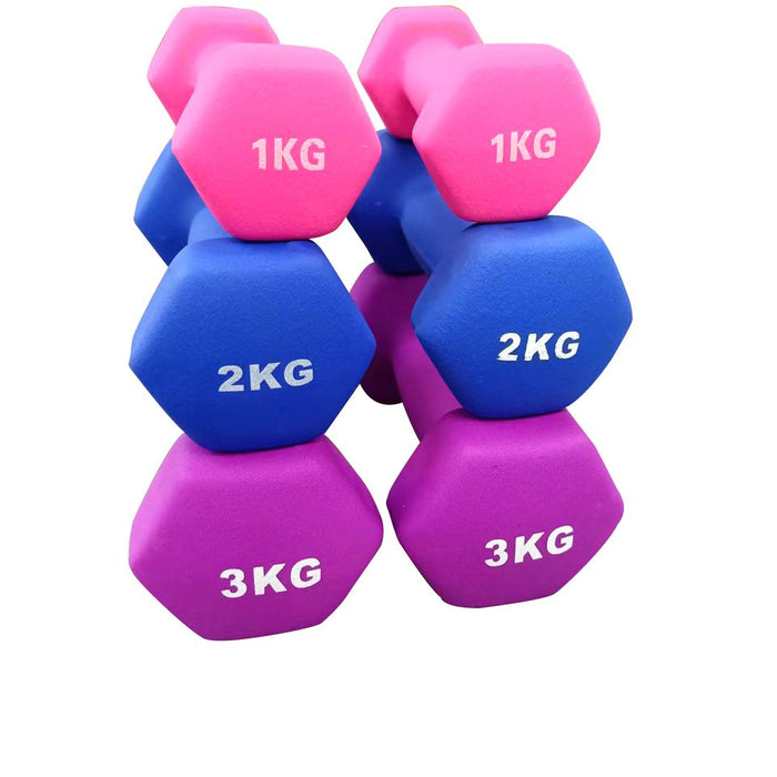 Vinyl Coated Dumbbell Weight Set 1-3KG With Stand